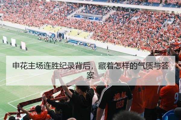 申花主场连胜纪录背后，藏着怎样的气质与答案
